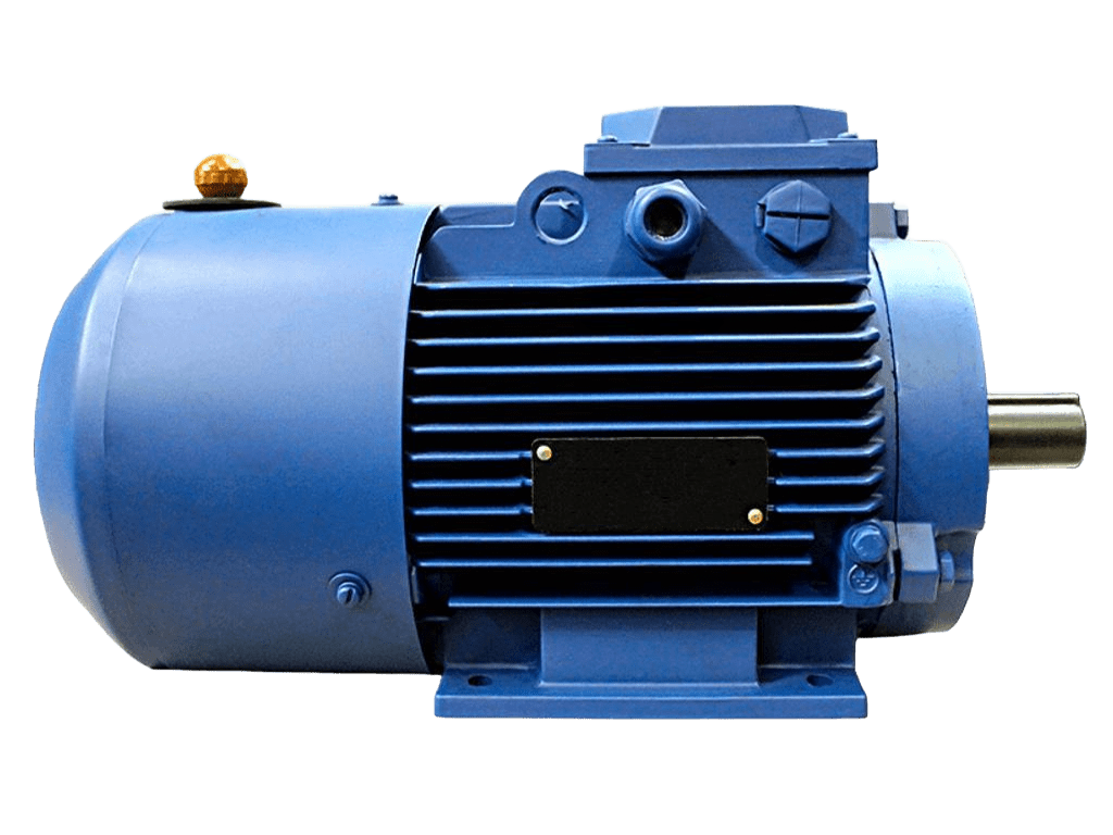 Электродвигатель 5АИ 100 L8 ЕD2 IM2081